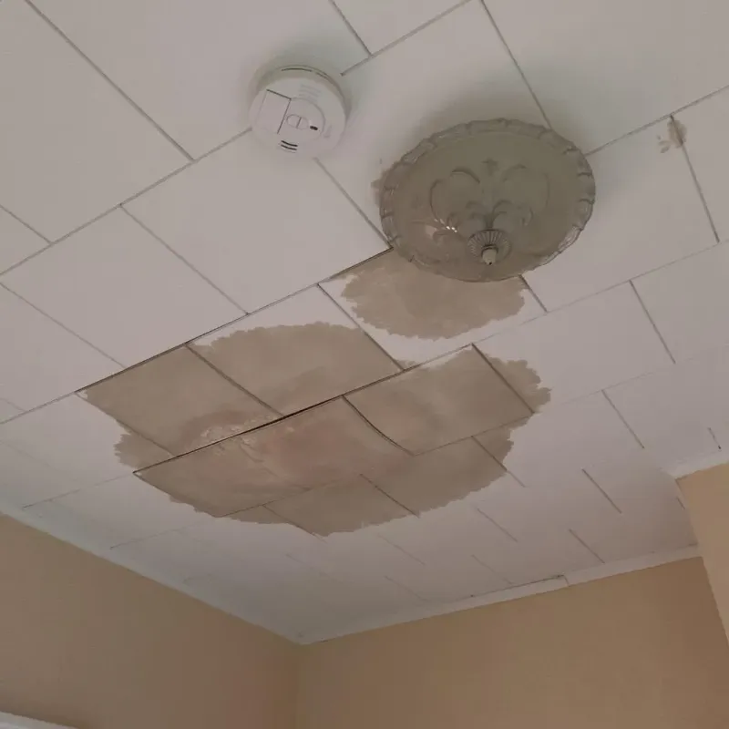 Ceiling Water Damage Repair in Dillsboro, IN