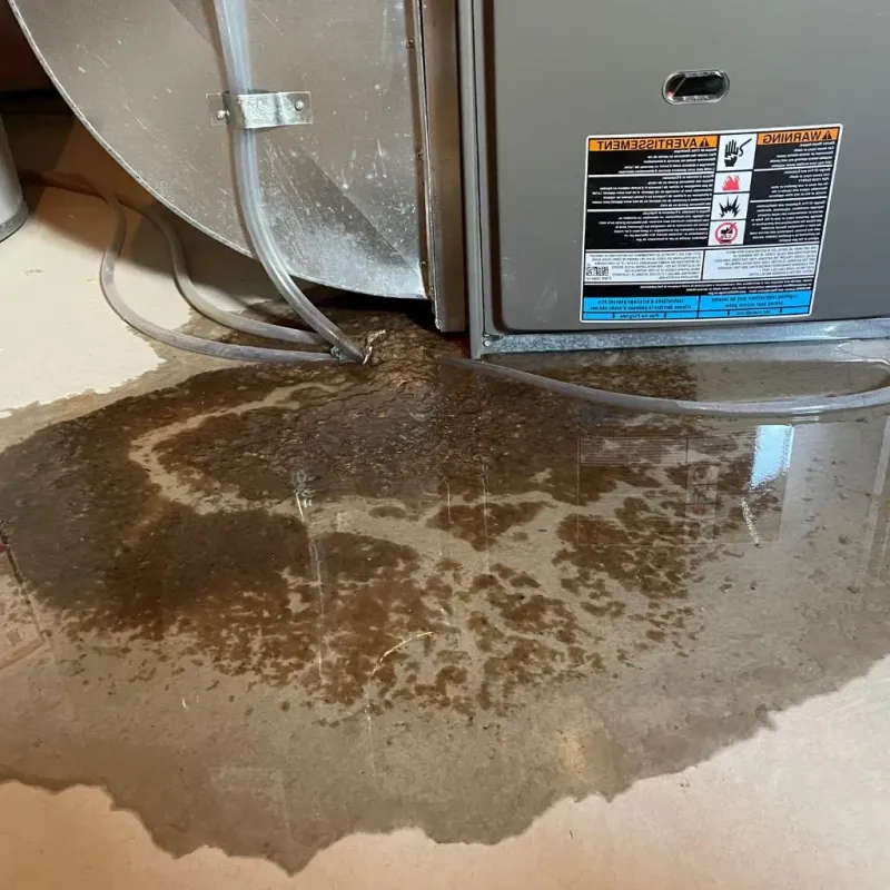 Pipe Burst and Leak Restoration in Dillsboro, IN