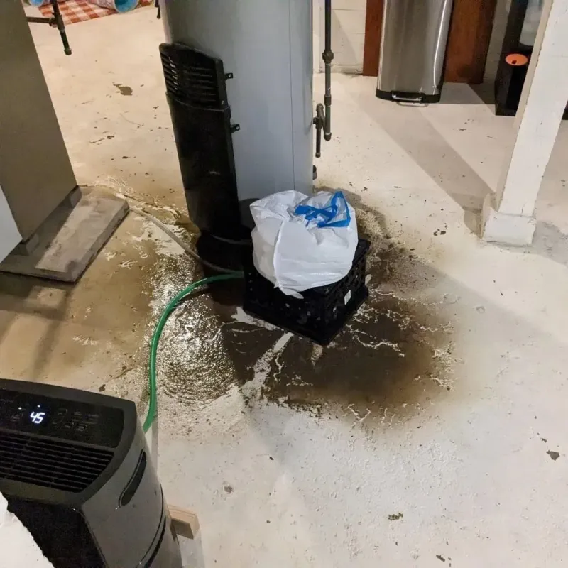 Sewage Backup Cleanup Service in Dillsboro, IN